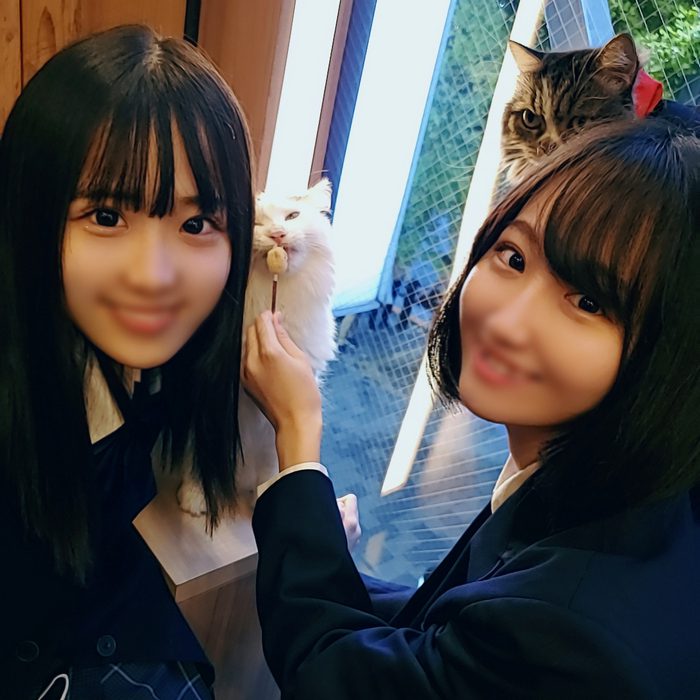 ดู JAV FC2 PPV 2477518 นักแสดงใหม่ หน้าตาเต็มๆ ไม่เซ็นเซอร์ นำความสวยงามแบบออร์โธดอกซ์มาสองแบบ ไม่เซ็นเซอร์ - JAV UNCEN